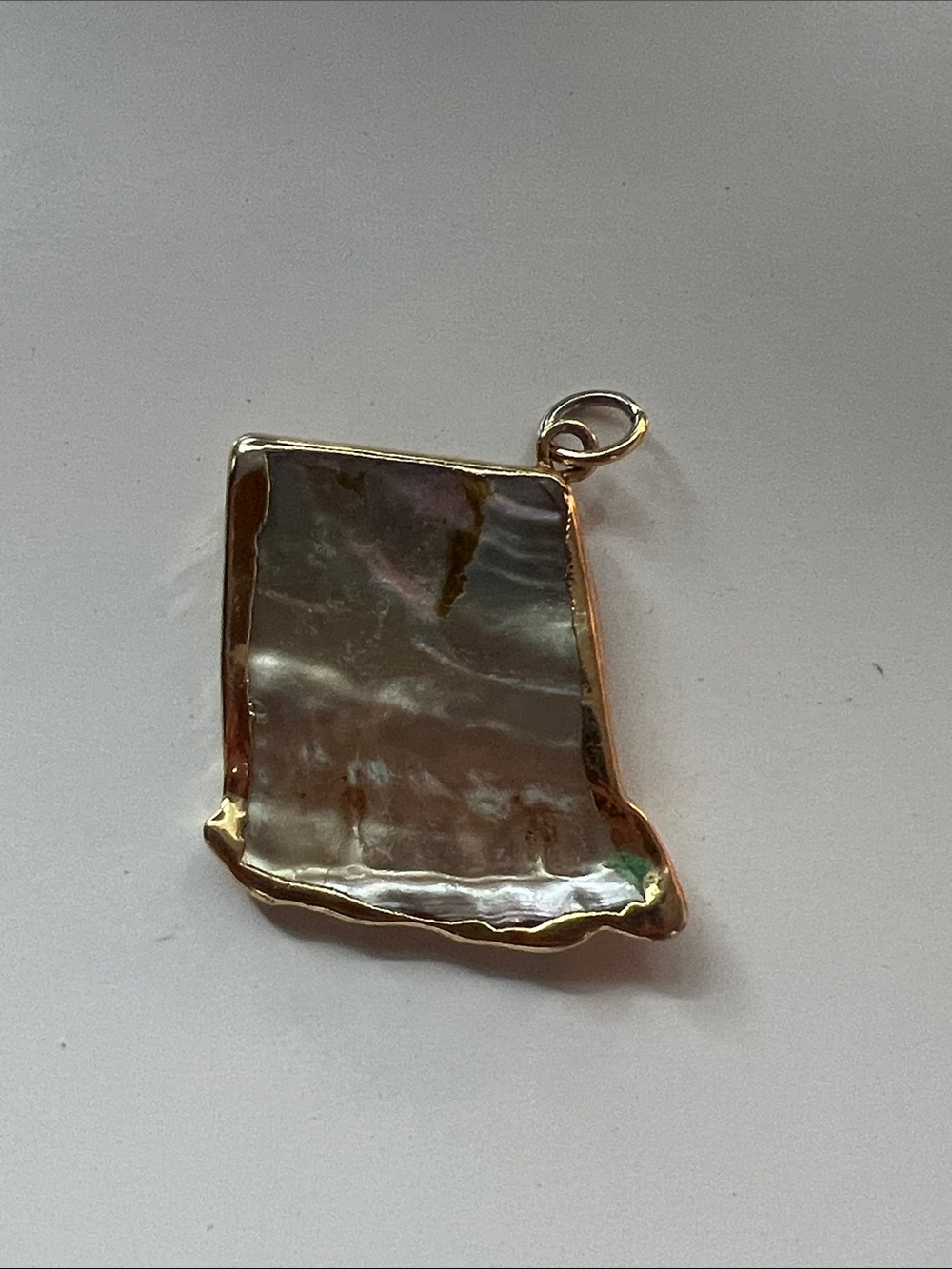 Organic Iridescent Shell Gold-Trimmed Pendant